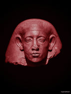Egyptian Bust Pink